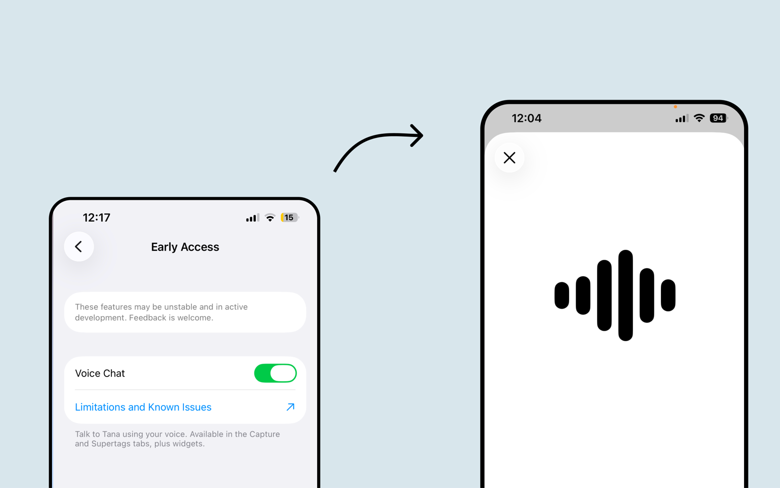 To configure voice chat in Tana for iOS, go to the Manage tab, then select early access